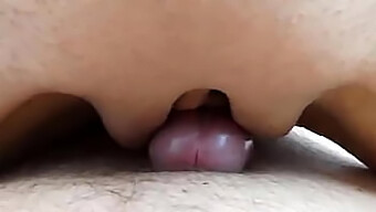 Buceta Raspada E Bumbum De Bolha Em Vídeo De Orgasmo Gay