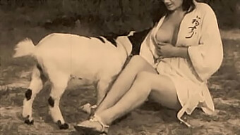 Natural Tits And A Hairy Pussy In A Classic Doggy Style Scene With A K9 Companion.